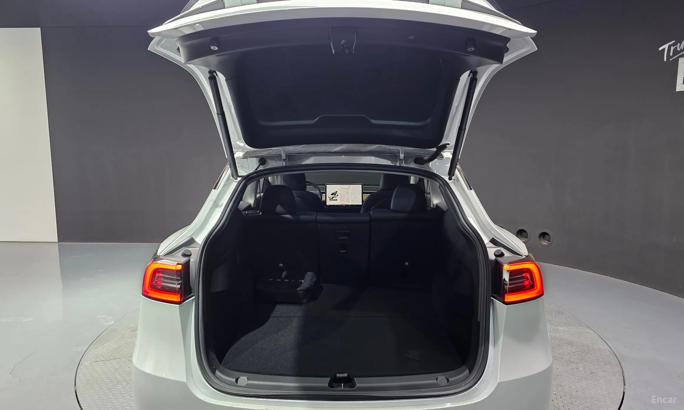 Model Y