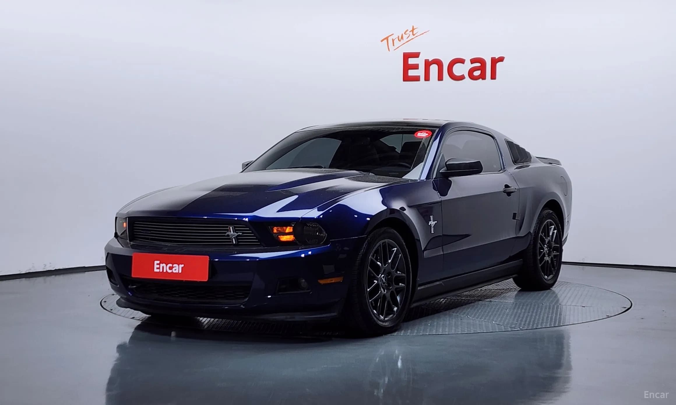 Mustang