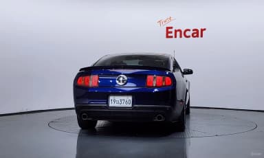 Mustang