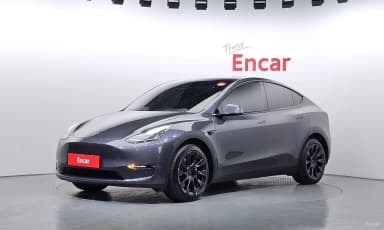 Model Y