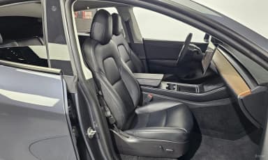 Model Y