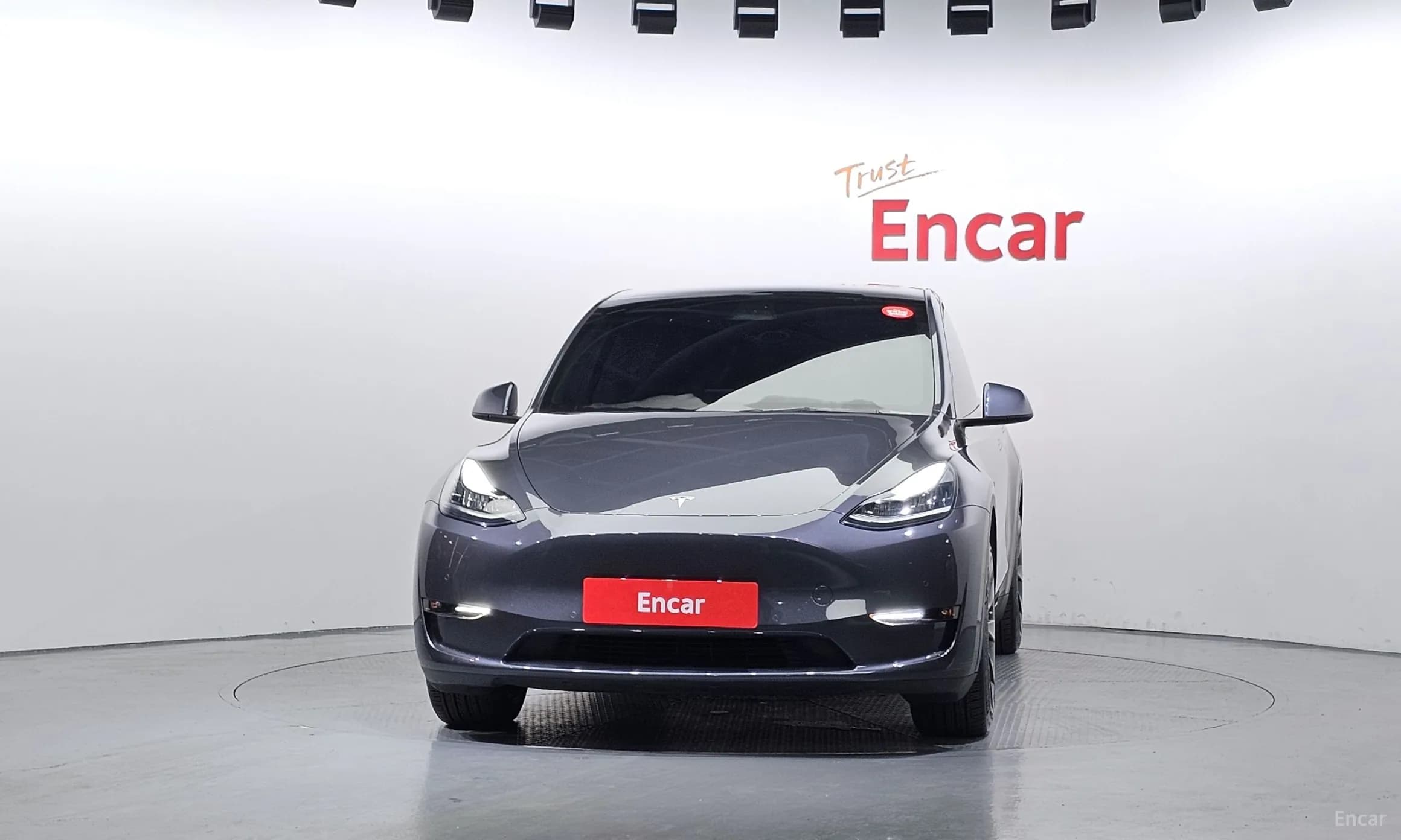 Model Y