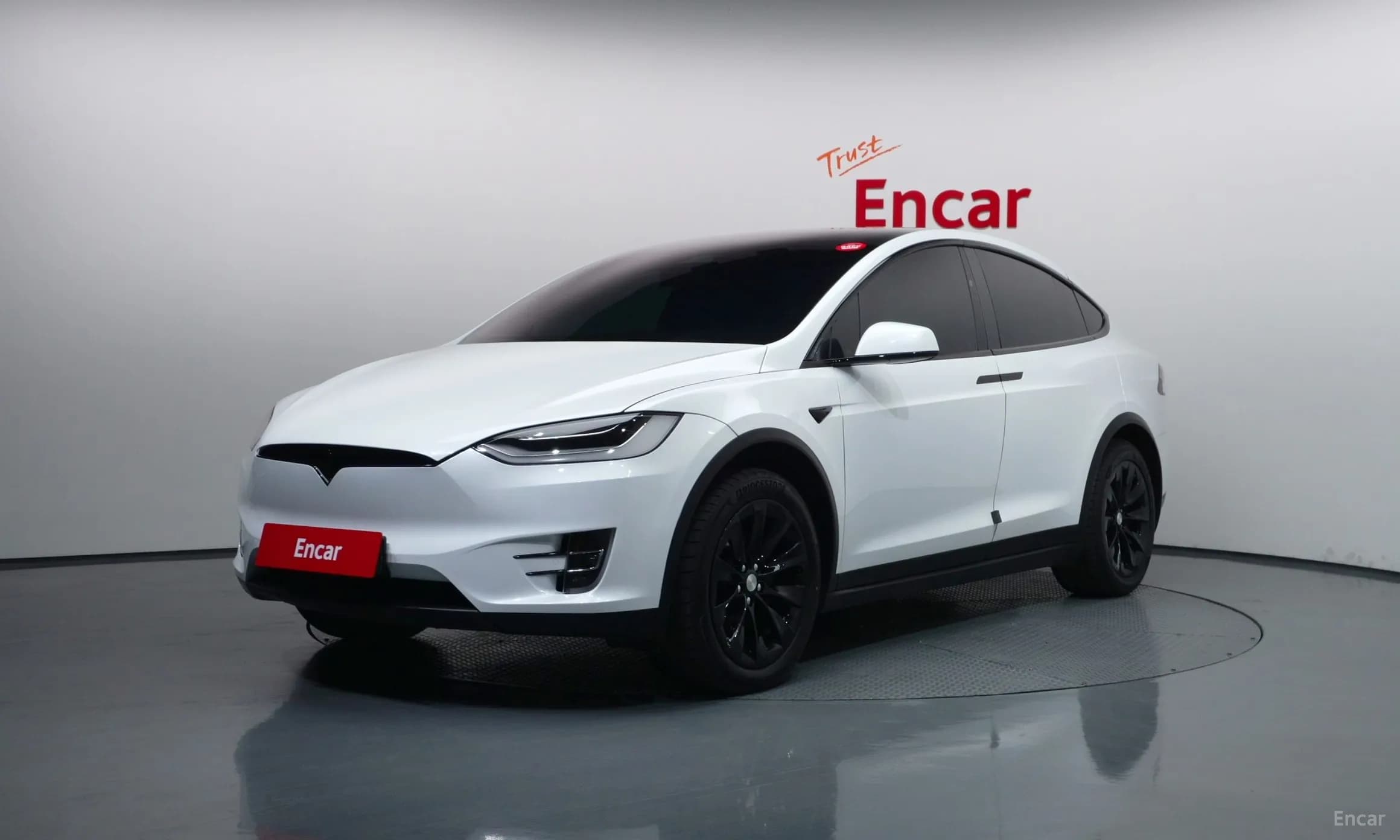 Model X
