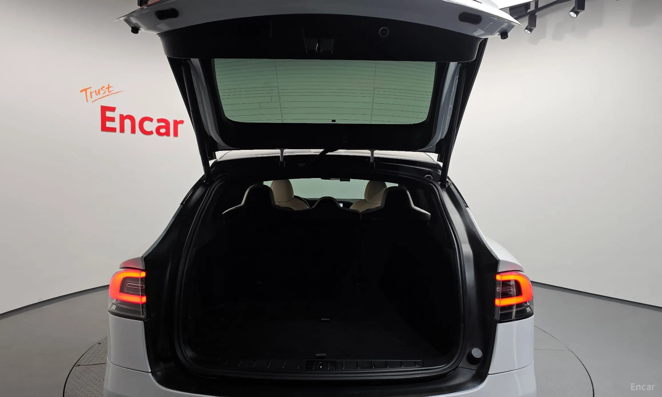 Model X