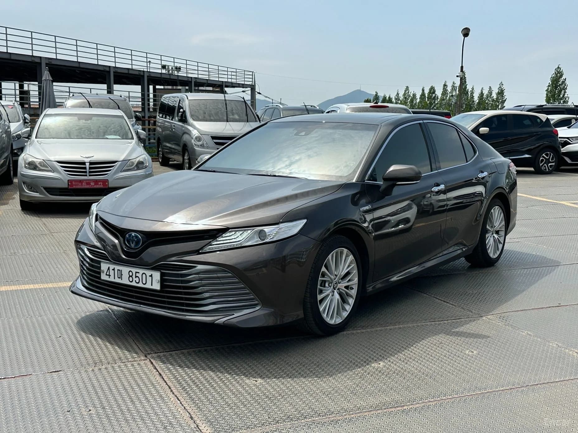 Camry (XV70)