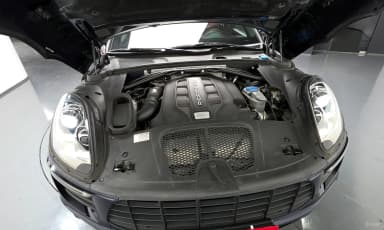 Macan