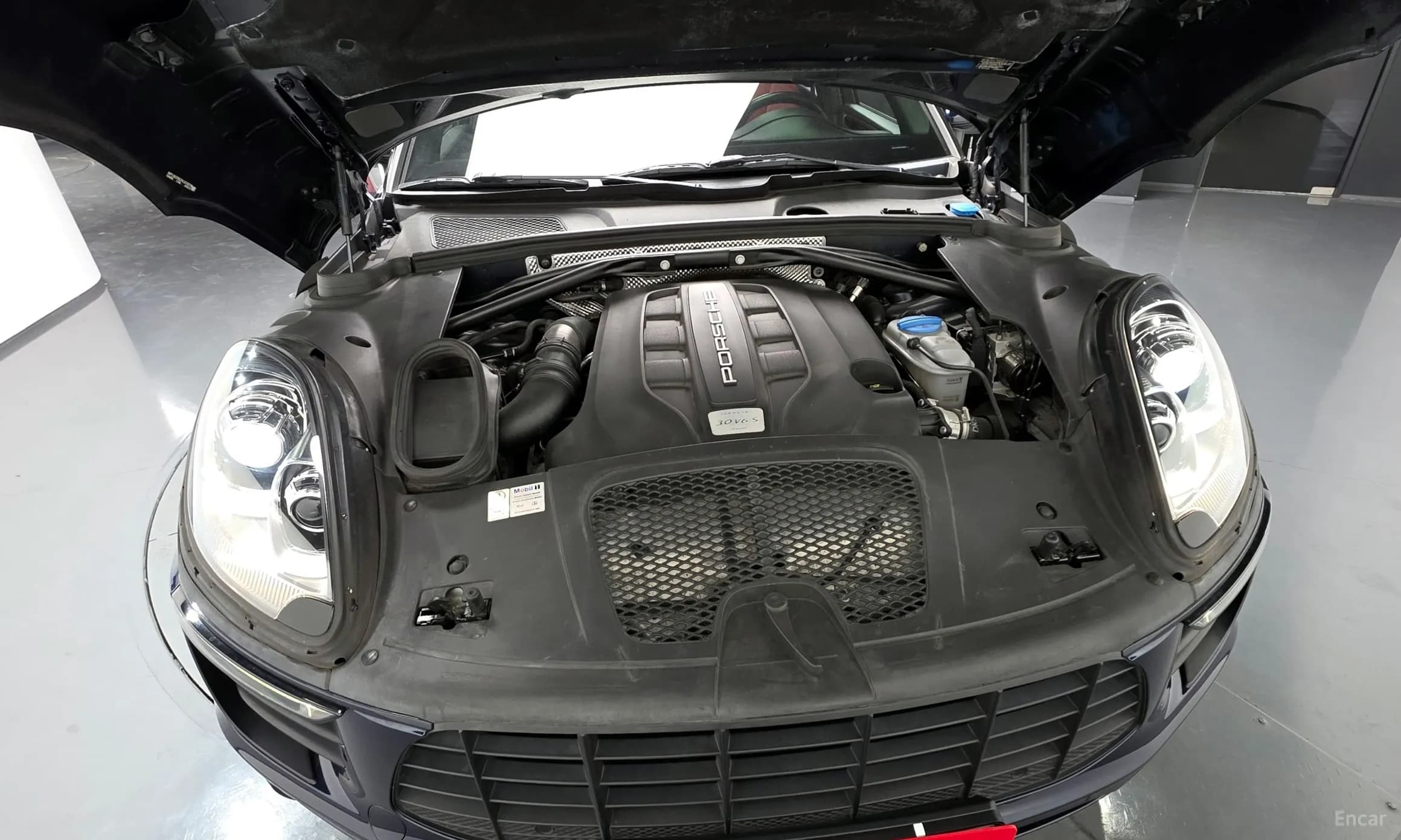 Macan