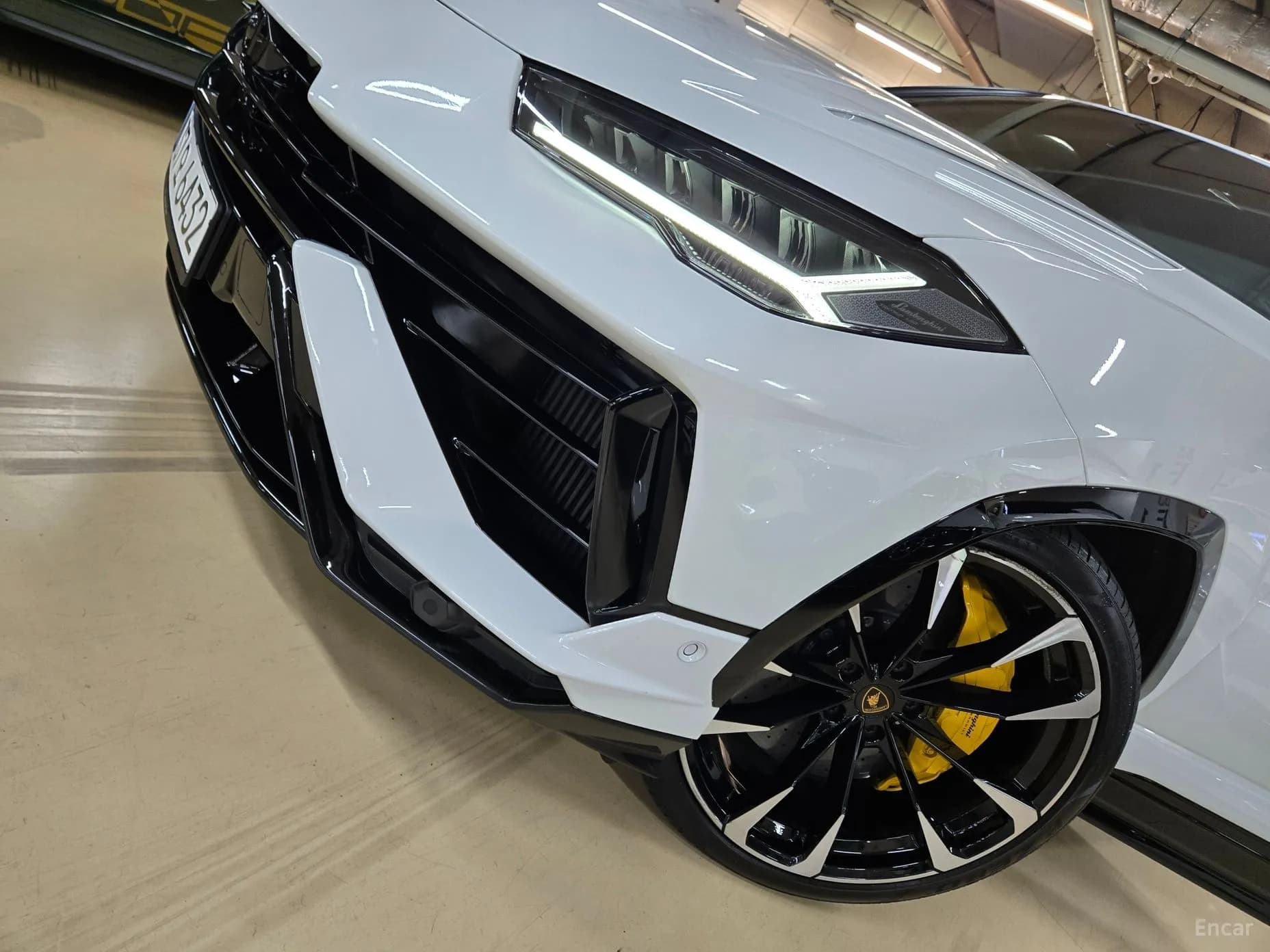 Urus
