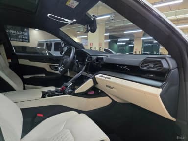 Urus