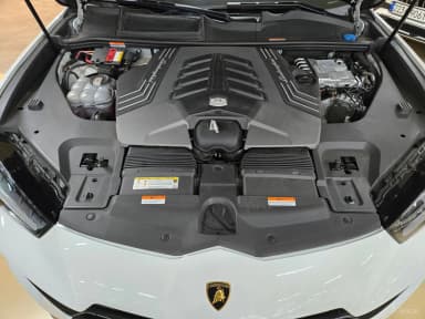 Urus
