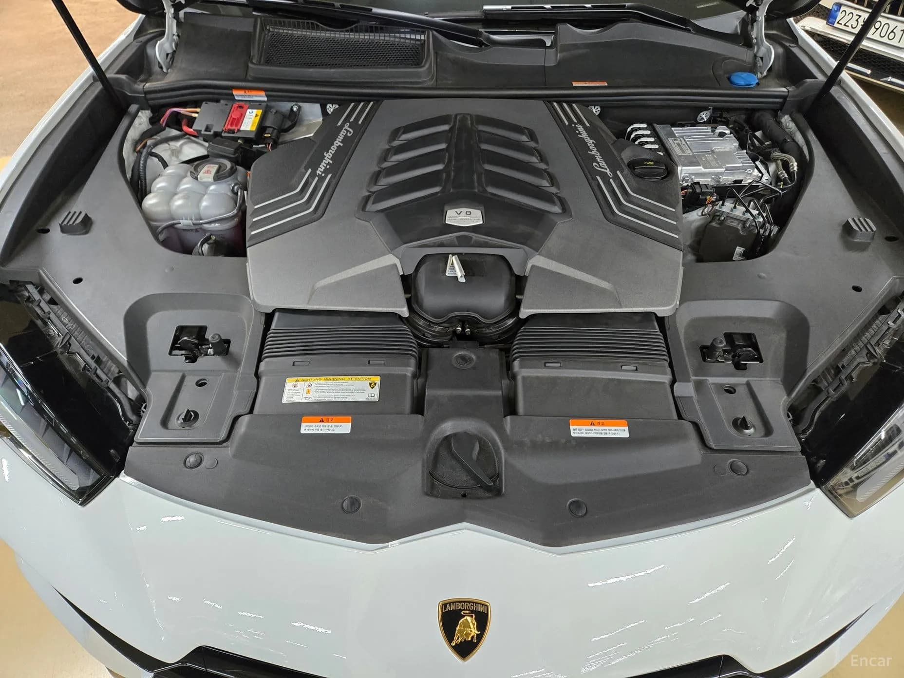 Urus