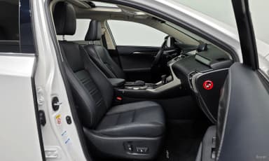 NX300h