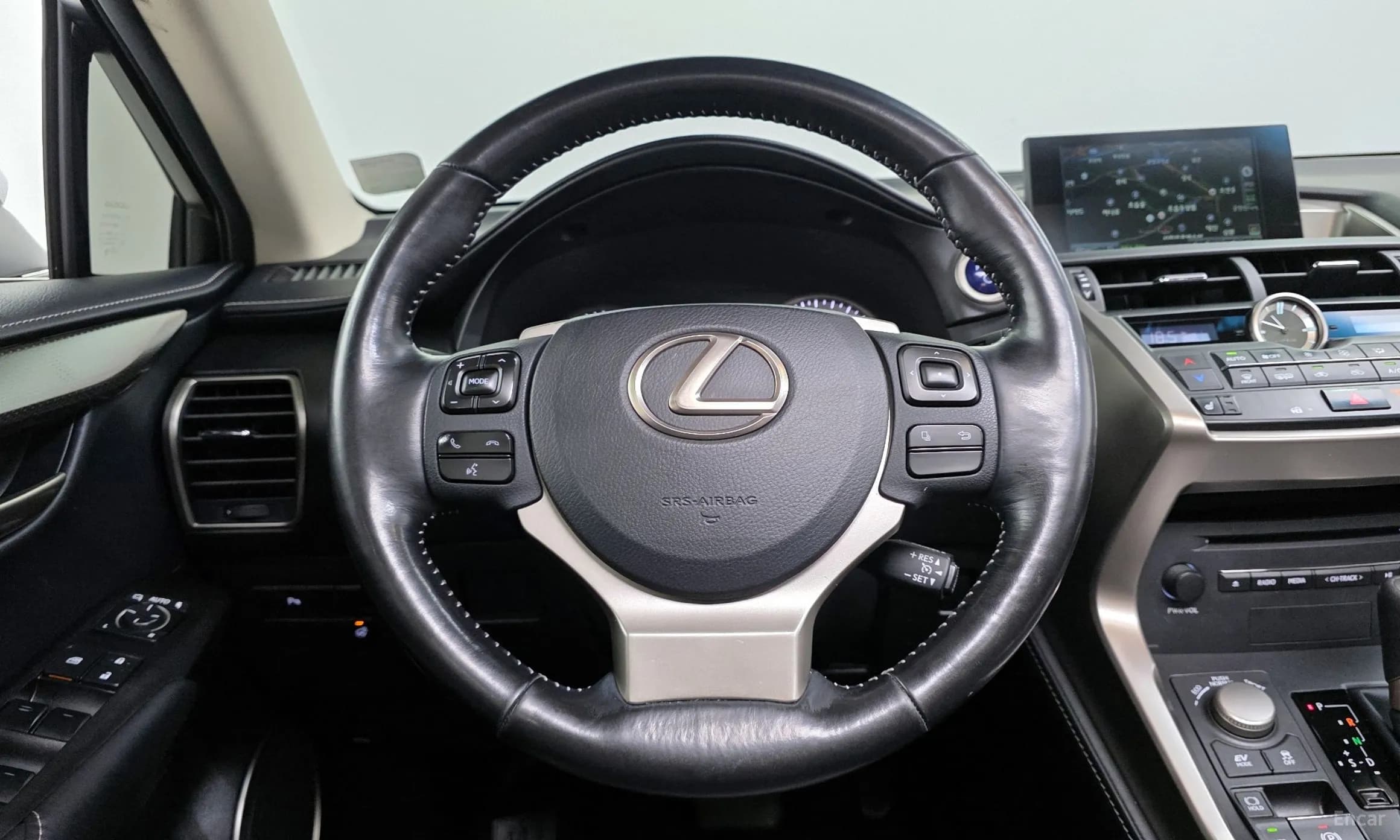 NX300h