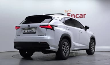 NX300h