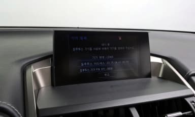 NX300h