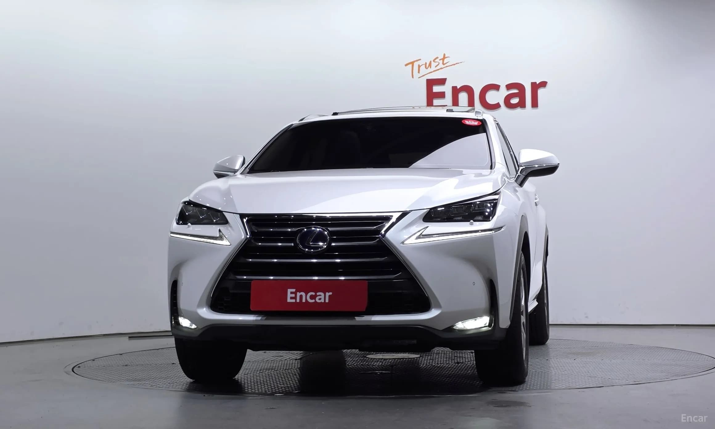 NX300h