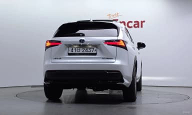 NX300h