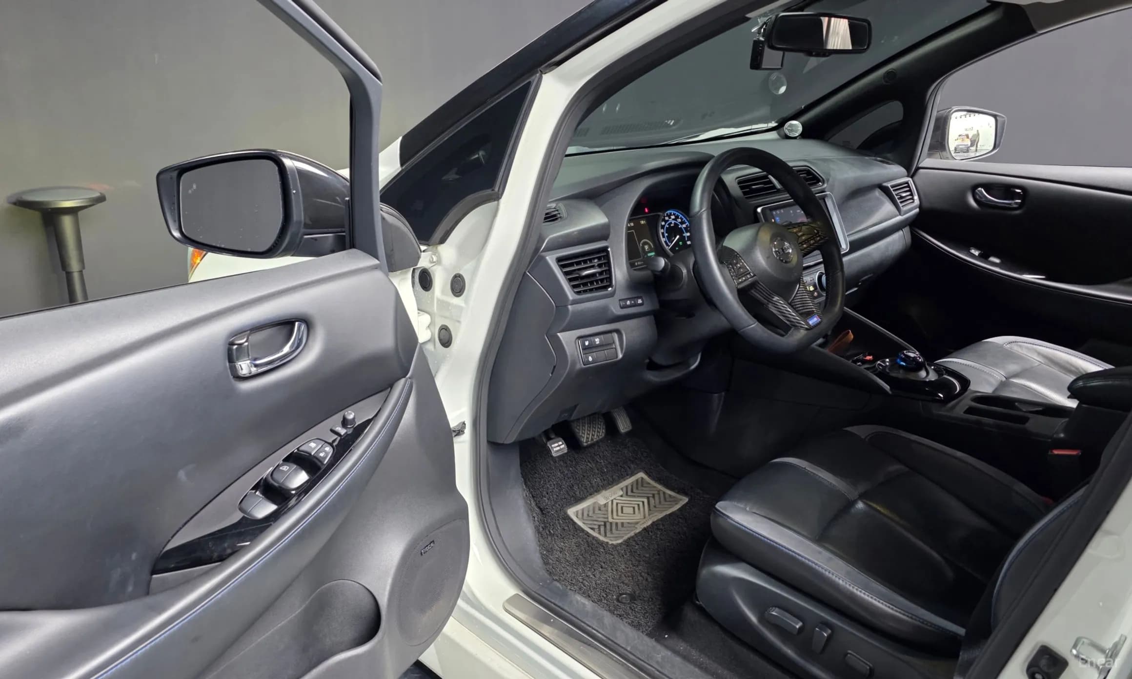 Leaf (ZE1)