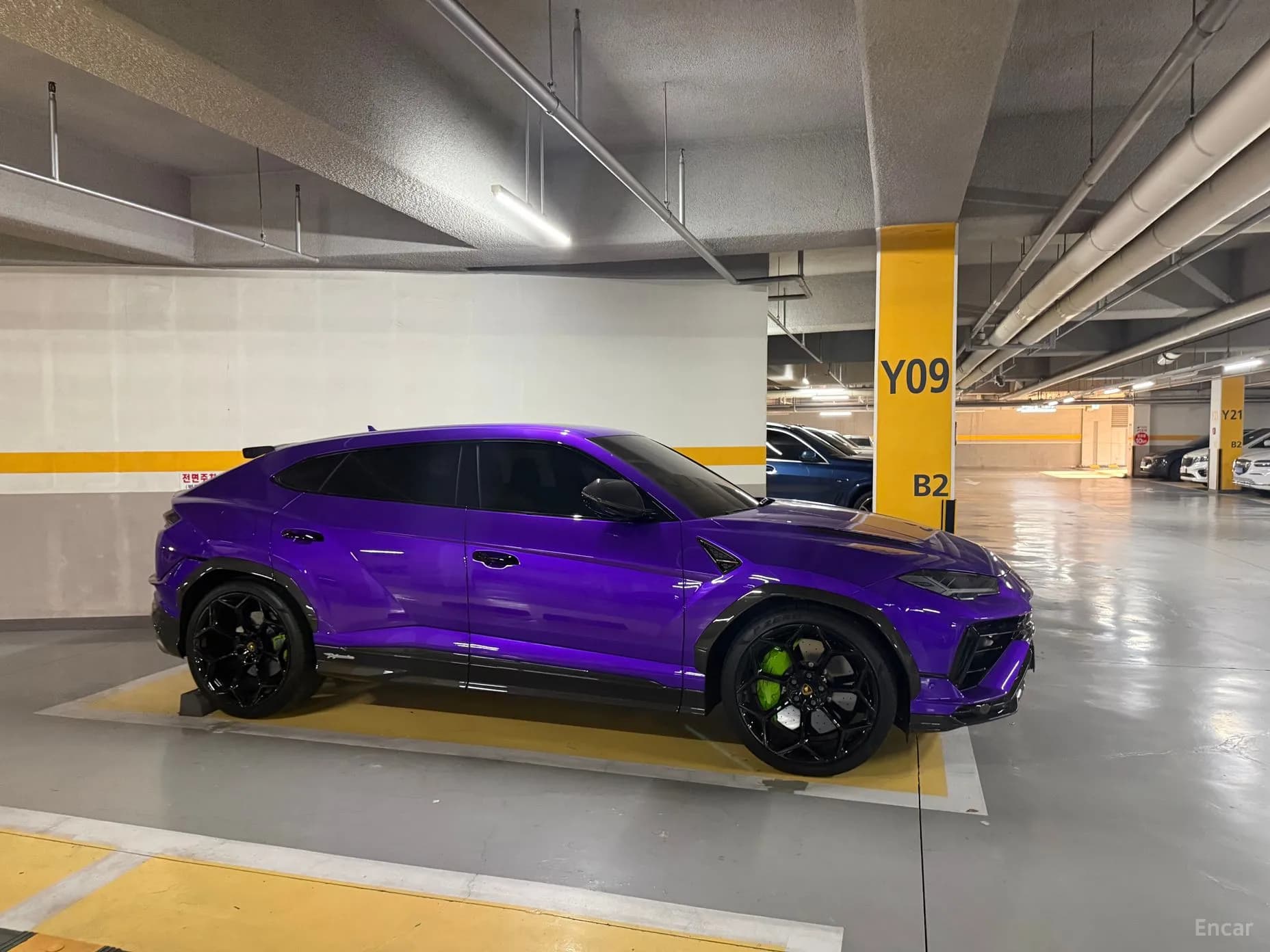 Urus