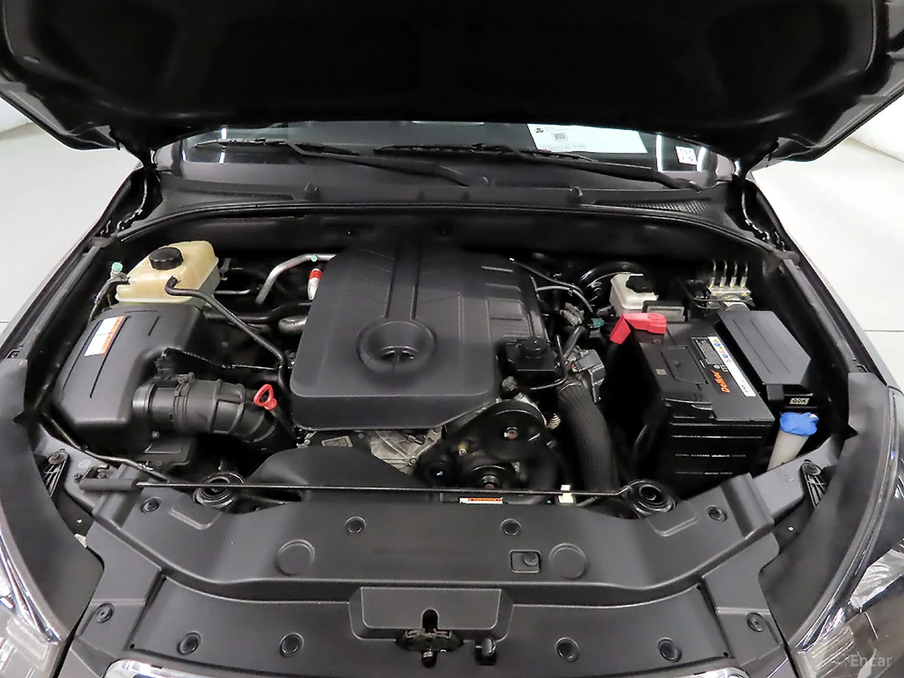 Korando Sports