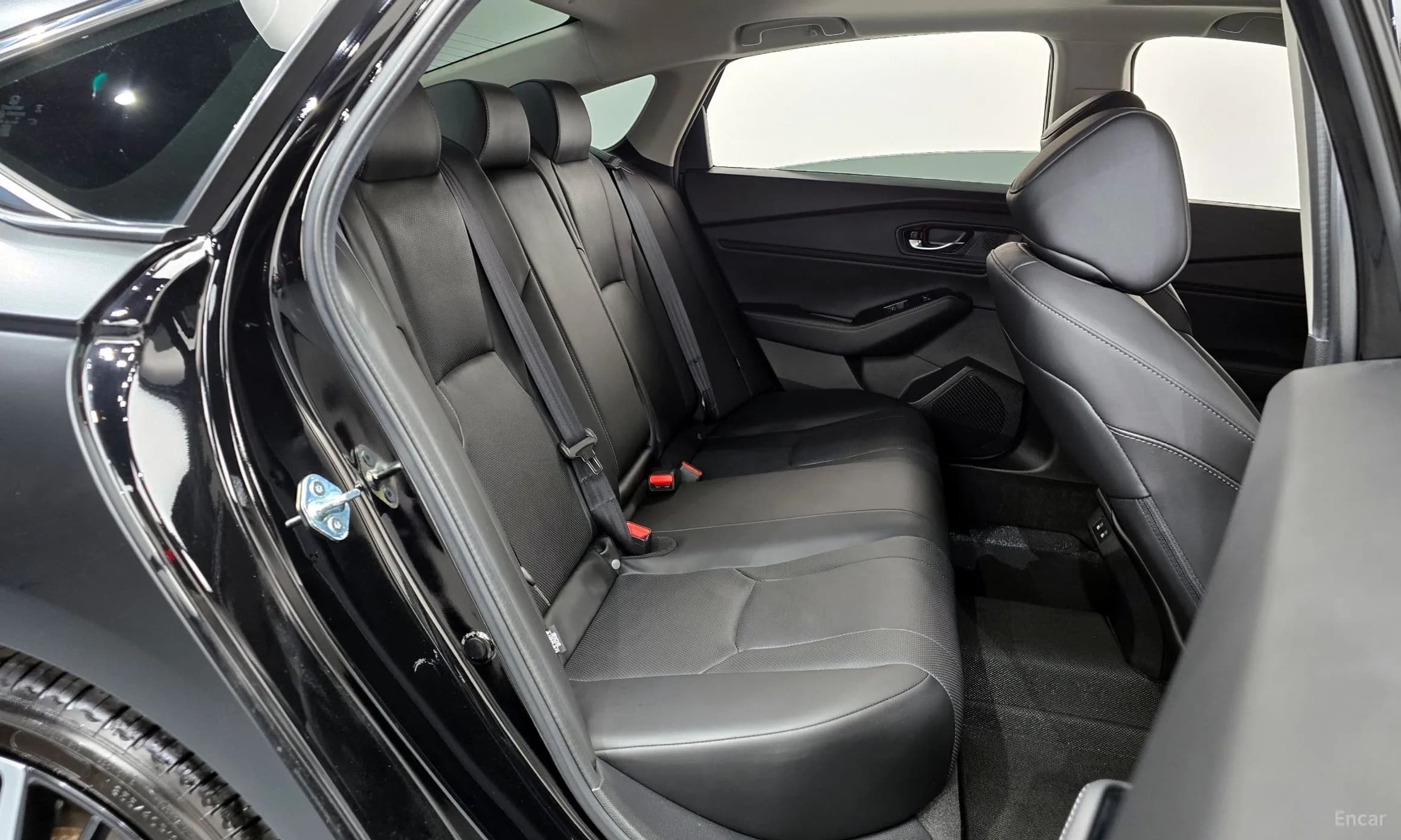 Accord 11th Generation