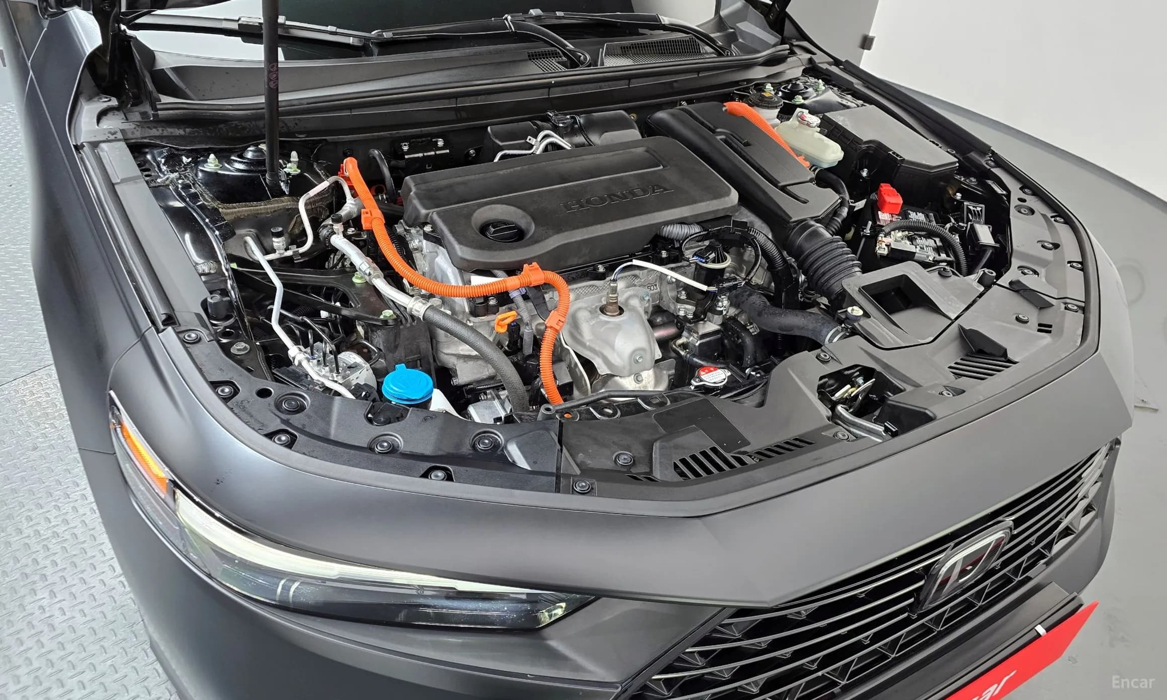 Accord 11th Generation