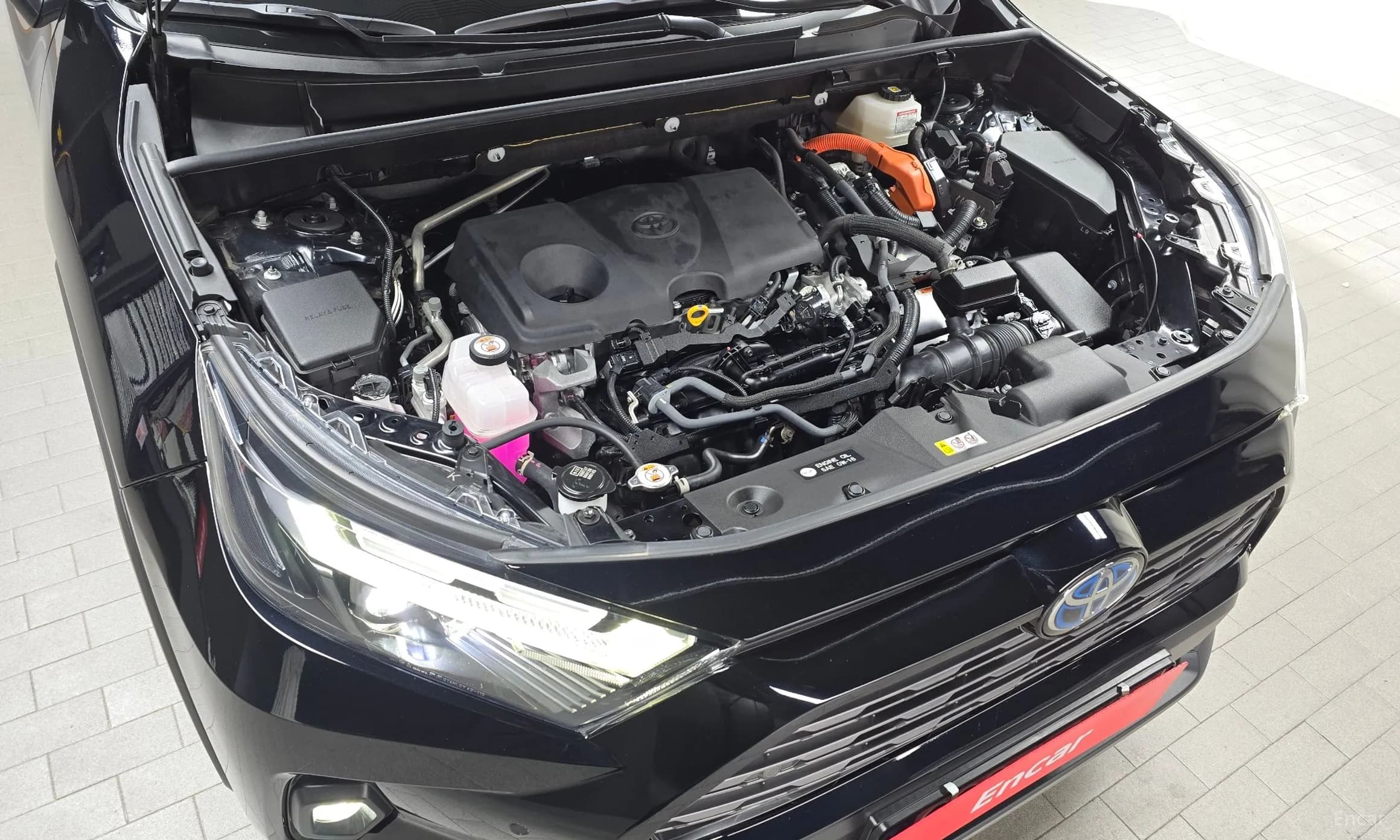 RAV4 5th Generation