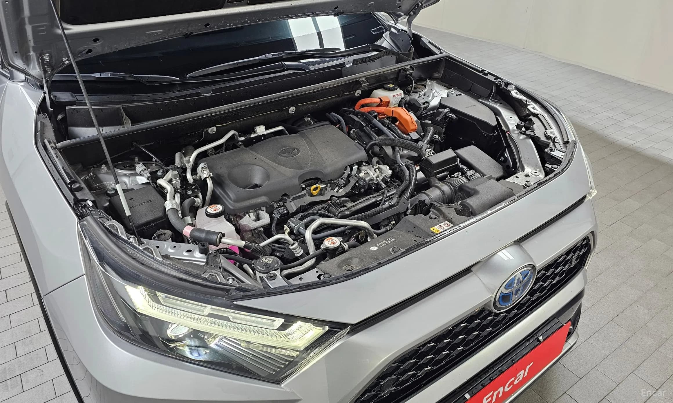RAV4 5th Generation