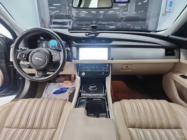XF (x260)