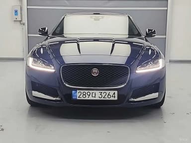 XF (x260)