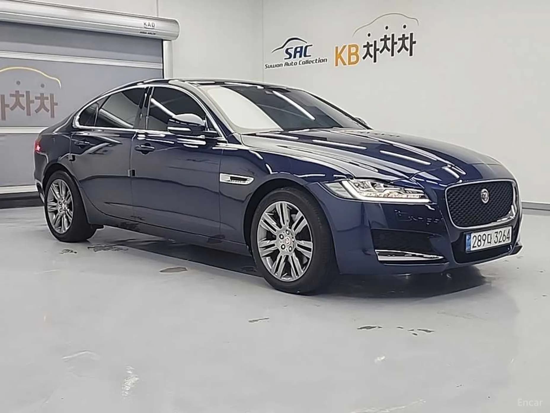 XF (x260)