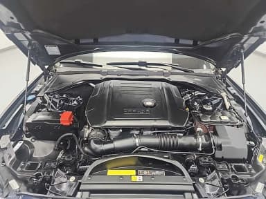 XF (x260)
