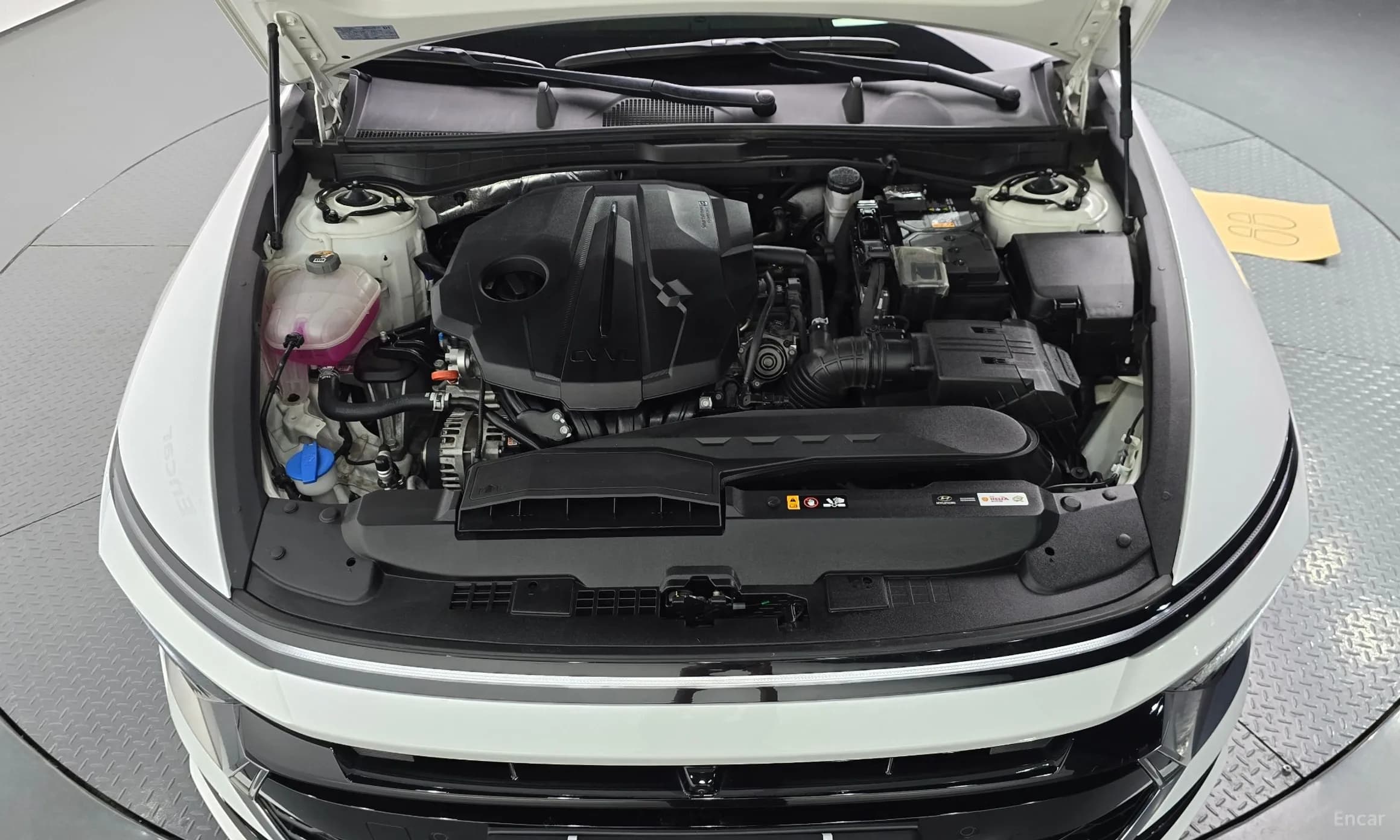 Sonata The Edge (DN8)