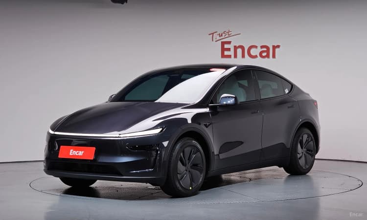 Model Y