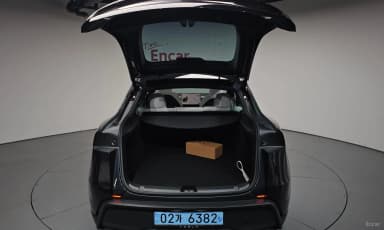 Model Y