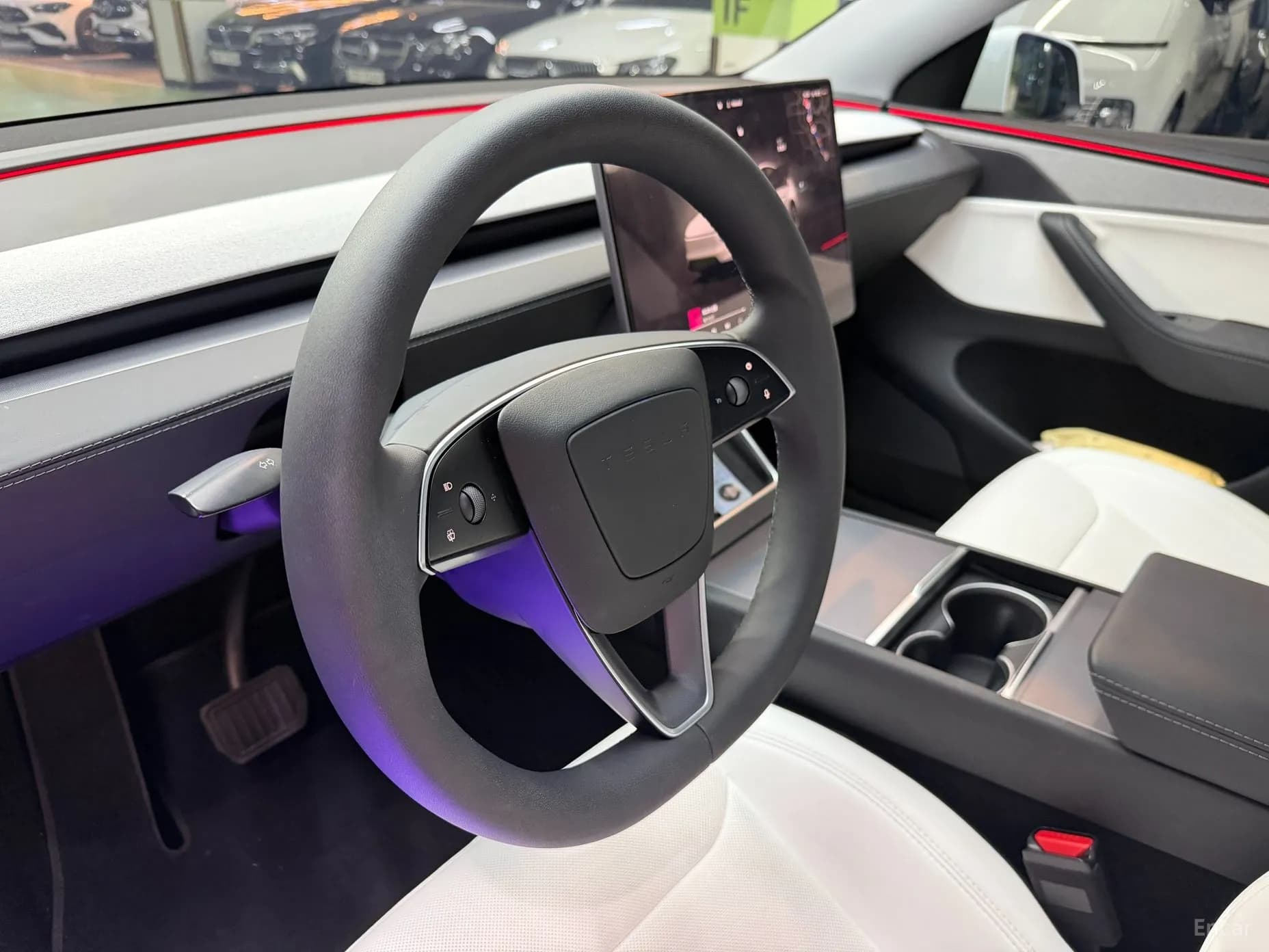 Model Y