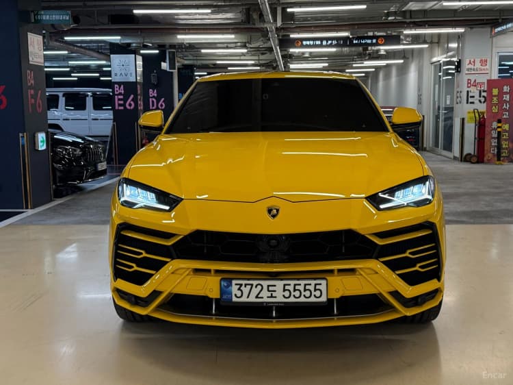 Urus