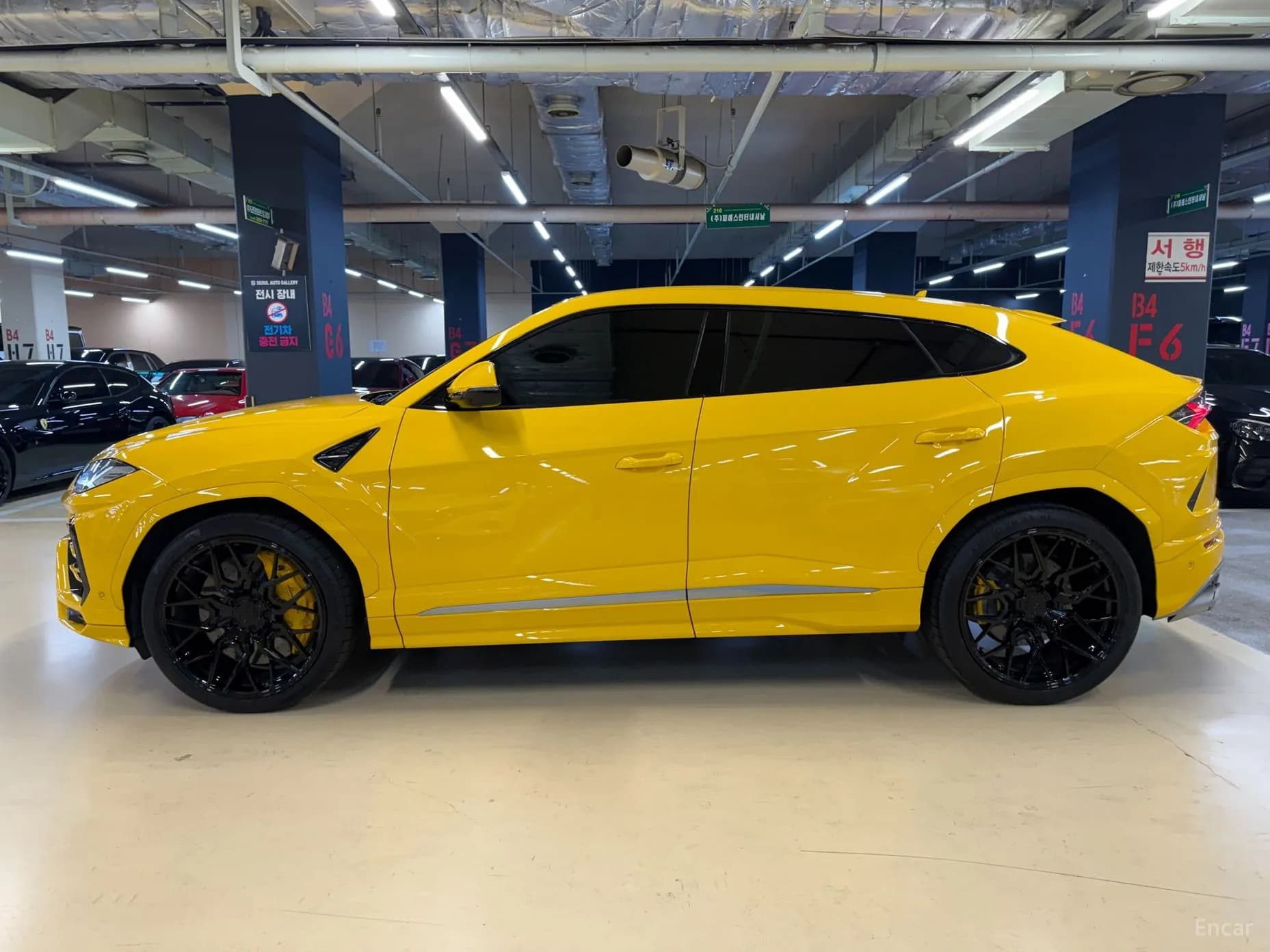 Urus