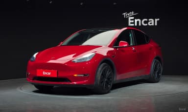 Model Y