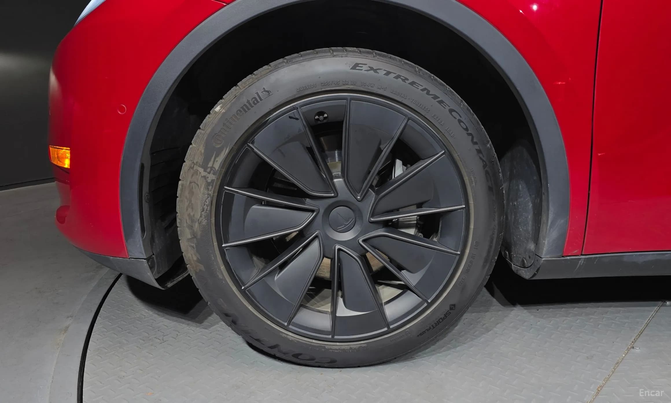 Model Y