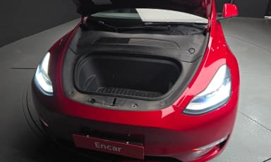 Model Y