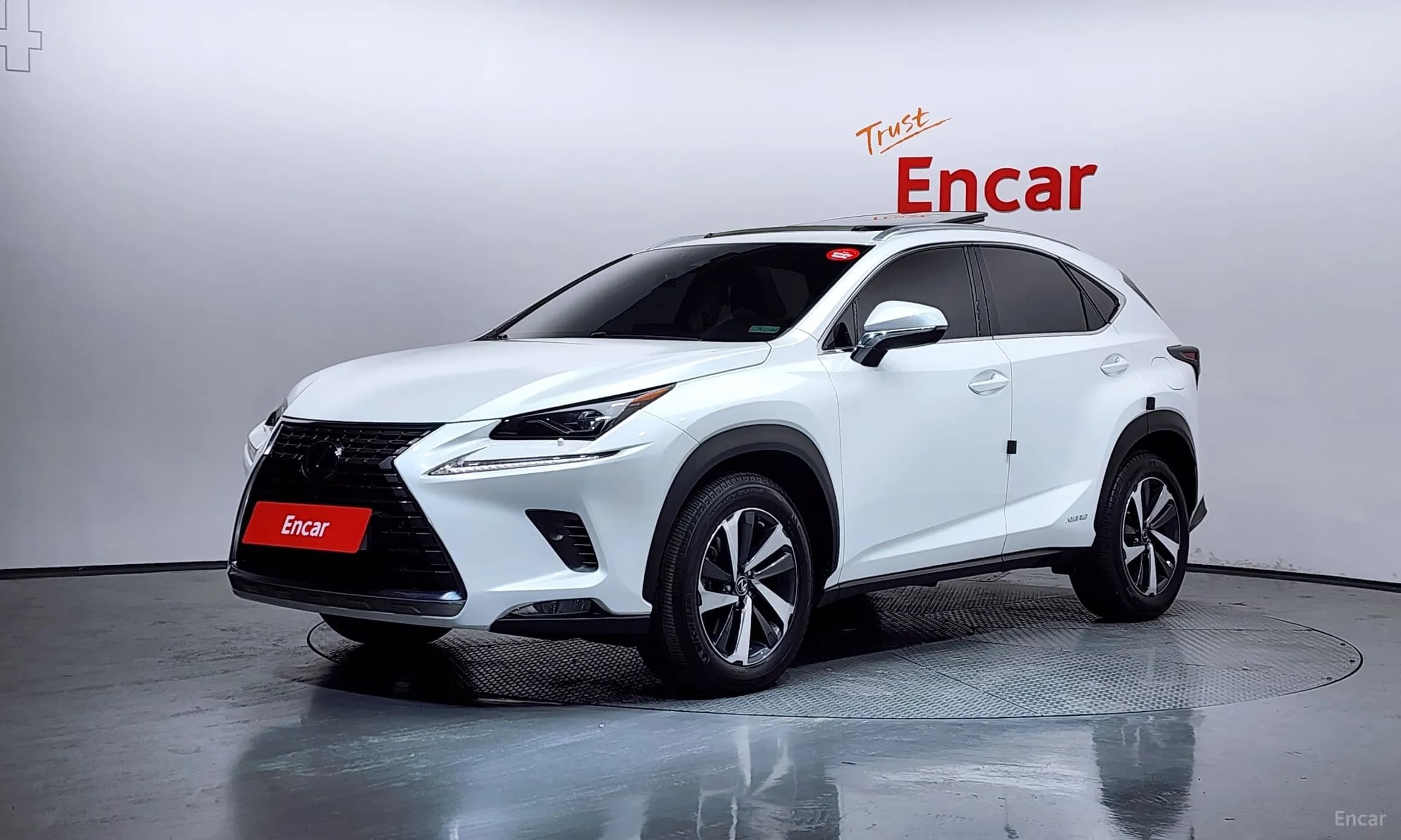NX300h