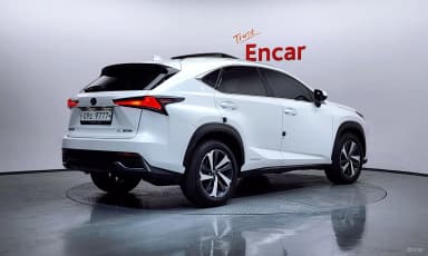 NX300h