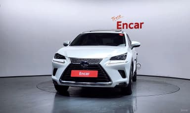 NX300h