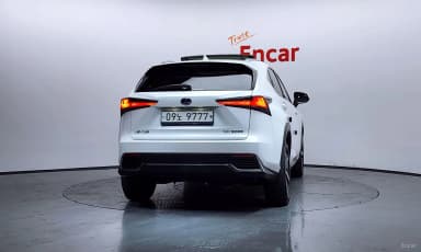NX300h