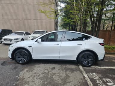 Model Y