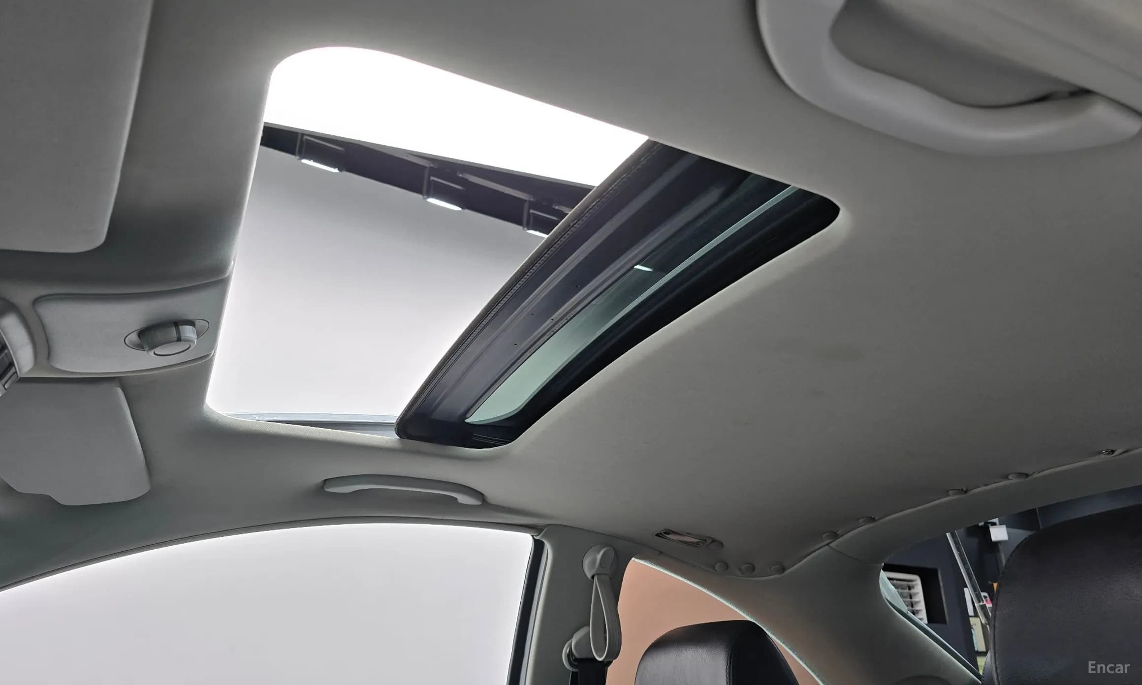 New Beetle