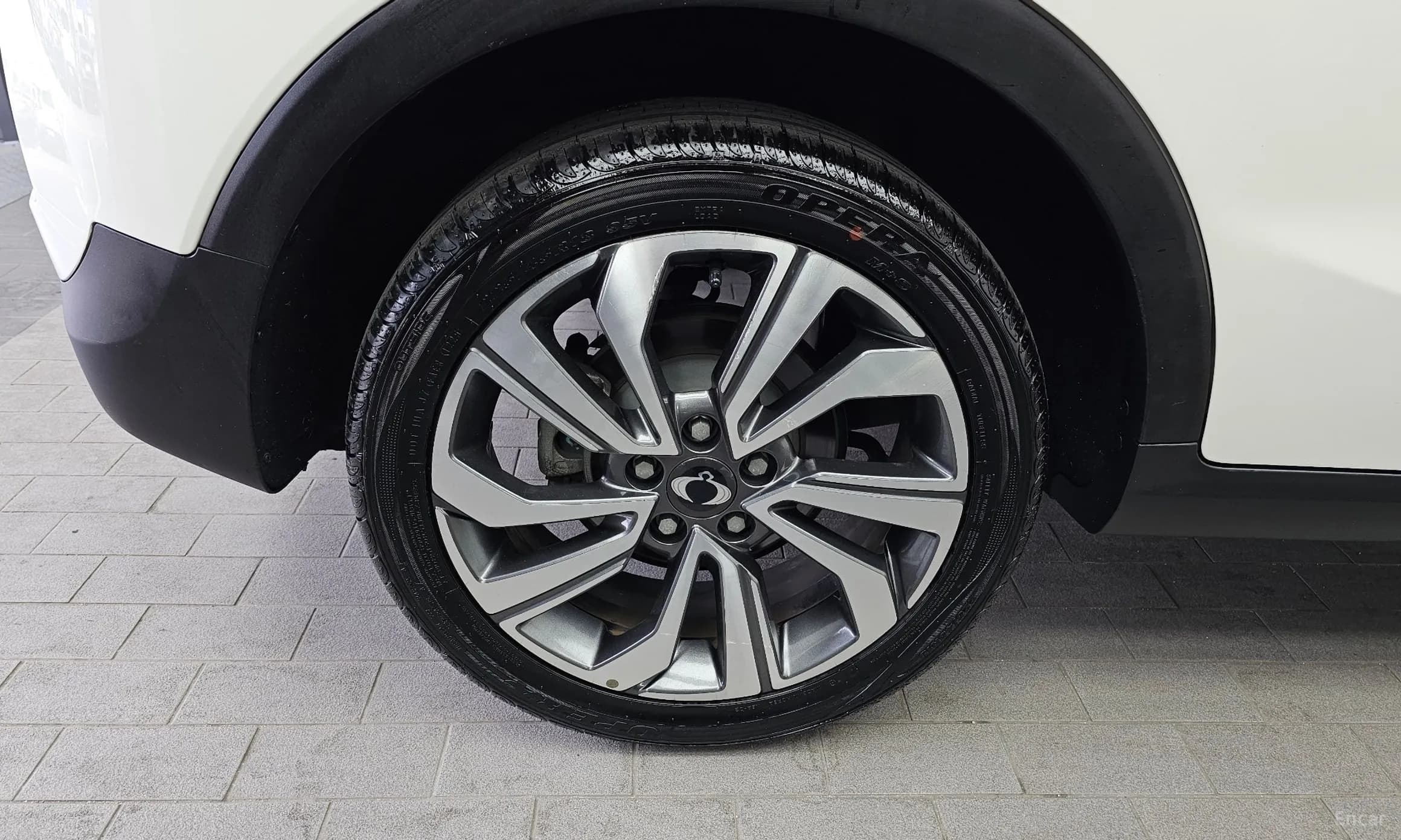 Berry New Tivoli