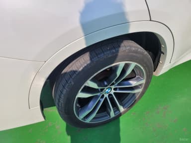 X6 (F16)