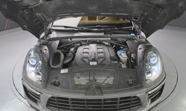 Macan